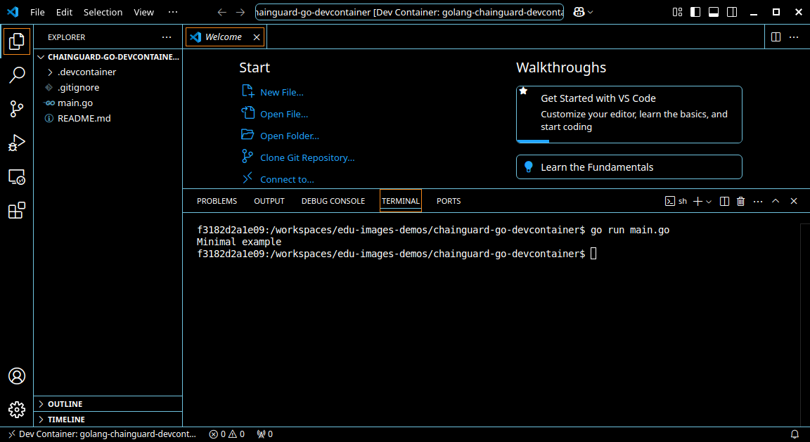 Screenshot of a VS Code window with the example Go program being run in the terminal.